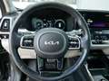 Kia Sorento 2,2 CRDi SCR AWD Platin DCT Grau - thumbnail 9