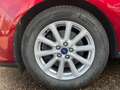 Ford S-Max Titanium Automatik*AHK*8-fach Bereift*Top Zustand Rot - thumbnail 6