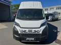 Fiat Ducato Maxi L4H3 Autm. (250/251) Weiß - thumbnail 2