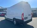 Fiat Ducato Maxi L4H3 Autm. (250/251) Weiß - thumbnail 5