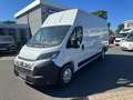Fiat Ducato Maxi L4H3 Autm. (250/251) Weiß - thumbnail 1