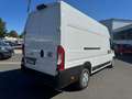 Fiat Ducato Maxi L4H3 Autm. (250/251) Weiß - thumbnail 4