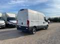 Iveco Daily 35 S12 V H2 3520 E6d-temp +iva Blanco - thumbnail 6