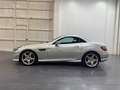 Mercedes-Benz SLK 250 BlueEfficiency Gris - thumbnail 20