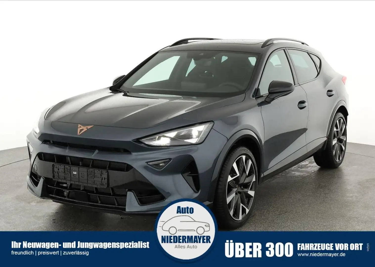 CUPRA Formentor VZ 2.0 TSI DSG 4Drive, AHK, Pano, Matrix Grau - 1