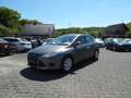 Ford Focus 1,6 Ti-VCT 77kW Trend Braun - thumbnail 1