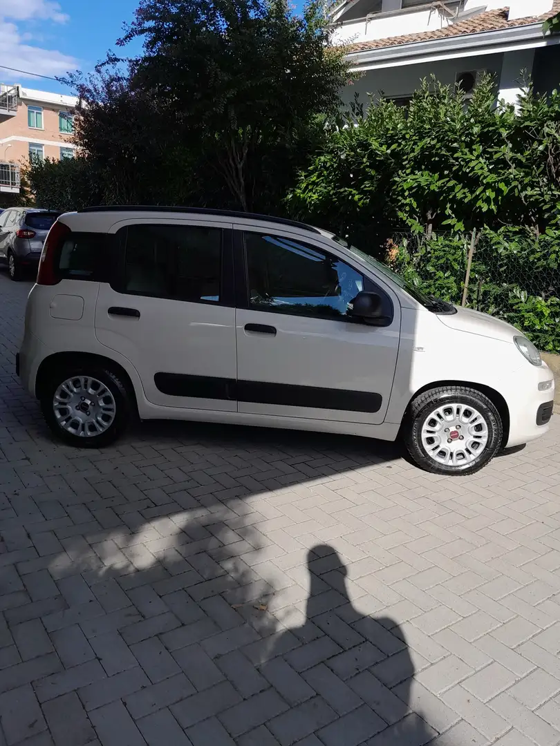 Fiat Panda 1.2 Easy 69cv - 2