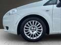 Fiat Grande Punto Grande 1.2 Punto Basis Klima 1.Hand Weiß - thumbnail 17
