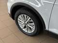 Volkswagen T-Roc 2.0cc TDI 150CV 4X4 *IVA* Blanc - thumbnail 33
