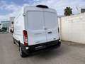 Ford Transit FT 350 L3 Van MHEV Trend 130 Blanco - thumbnail 6