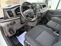 Ford Transit FT 350 L3 Van MHEV Trend 130 Blanco - thumbnail 26