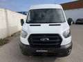 Ford Transit FT 350 L3 Van MHEV Trend 130 Blanco - thumbnail 12