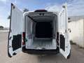 Ford Transit FT 350 L3 Van MHEV Trend 130 Blanco - thumbnail 13