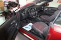 Audi A3 Cabriolet Ambition 1,6 102PS Rouge - thumbnail 13