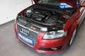 Audi A3 Cabriolet Ambition 1,6 102PS Rouge - thumbnail 18