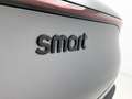 smart #3 BRABUS 66 kWh | Adaptieve Cruise Control | Head-Up Grijs - thumbnail 15