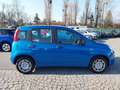 Fiat Panda 4x2 FireFly Hybrid 70 Blau - thumbnail 4
