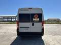 Fiat Ducato Weinsberg Carabus 600 K | 4 Posti Letto Alb - thumbnail 5