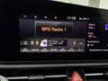Kia e-Niro EV ExecutiveLine 64.8 kWh Grijs - thumbnail 13