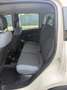 Fiat Panda 1.2 - NEOATENTATI - 12 MESI DI GARANZIA - Beige - thumbnail 10