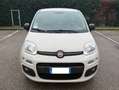 Fiat Panda 1.2 - NEOATENTATI - 12 MESI DI GARANZIA - Beige - thumbnail 1
