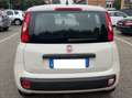 Fiat Panda 1.2 - NEOATENTATI - 12 MESI DI GARANZIA - Beige - thumbnail 3