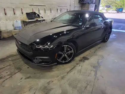 Black 2024 Ford Mustang Convertible Rear-Wheel Drive Automatic