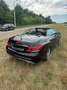 Mercedes-Benz E 250 Mercedes E cabrio AMG uitvoering - thumbnail 3
