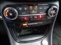 Ford Puma ST-Line X LED Navi RFK Design-Paket 1.0 EcoBoost M Gris - thumbnail 11
