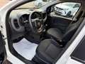 Fiat Panda 1.0 FIREFLY 70CV HYBRID CITY LIFE Bianco - thumbnail 12