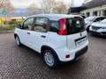 Fiat Panda 1.0 FIREFLY 70CV HYBRID CITY LIFE Bianco - thumbnail 6