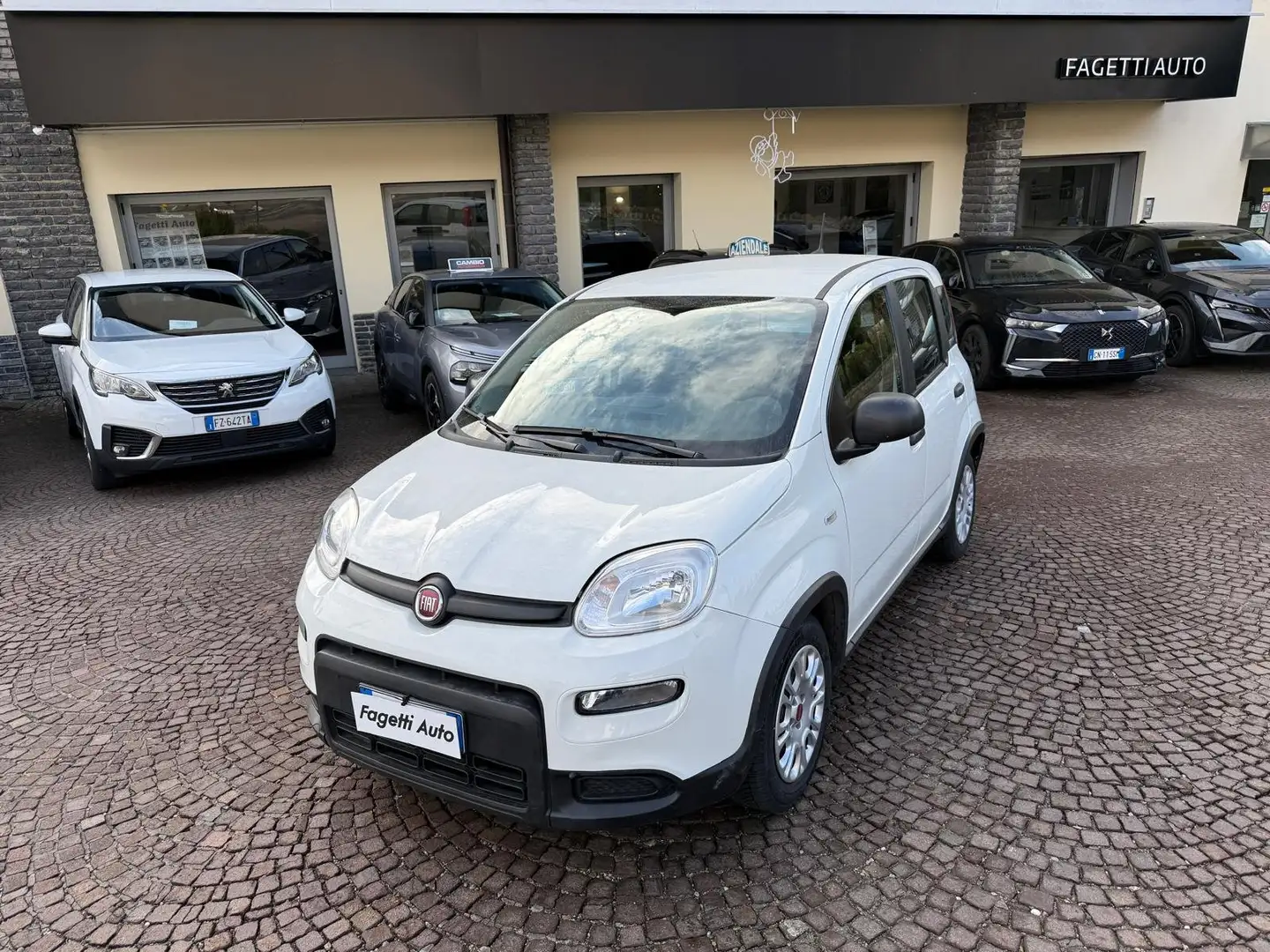 Fiat Panda 1.0 FIREFLY 70CV HYBRID CITY LIFE Bianco - 1