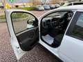 Fiat Panda 1.0 FIREFLY 70CV HYBRID CITY LIFE Bianco - thumbnail 10