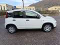 Fiat Panda 1.0 FIREFLY 70CV HYBRID CITY LIFE Bianco - thumbnail 5