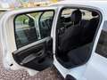 Fiat Panda 1.0 FIREFLY 70CV HYBRID CITY LIFE Bianco - thumbnail 13