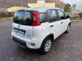 Fiat Panda 1.0 FIREFLY 70CV HYBRID CITY LIFE Bianco - thumbnail 4