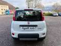 Fiat Panda 1.0 FIREFLY 70CV HYBRID CITY LIFE Bianco - thumbnail 7