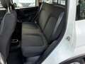 Fiat Panda 1.0 FIREFLY 70CV HYBRID CITY LIFE Bianco - thumbnail 9
