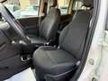 Fiat Panda 1.0 FIREFLY 70CV HYBRID CITY LIFE Bianco - thumbnail 11
