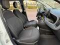 Fiat Panda 1.0 FIREFLY 70CV HYBRID CITY LIFE Bianco - thumbnail 14