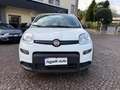 Fiat Panda 1.0 FIREFLY 70CV HYBRID CITY LIFE Bianco - thumbnail 2