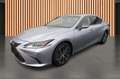 Lexus 300h Limited Edition*Navi*ACC*Kamera*Pioneer* Gris - thumbnail 1