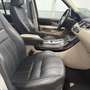 Land Rover Range Rover Sport 3.0SDV6 AB Aut. Blanco - thumbnail 11
