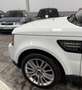 Land Rover Range Rover Sport 3.0SDV6 AB Aut. Blanco - thumbnail 7