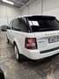 Land Rover Range Rover Sport 3.0SDV6 AB Aut. Blanco - thumbnail 5