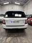 Land Rover Range Rover Sport 3.0SDV6 AB Aut. Blanco - thumbnail 4