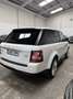Land Rover Range Rover Sport 3.0SDV6 AB Aut. Blanco - thumbnail 3