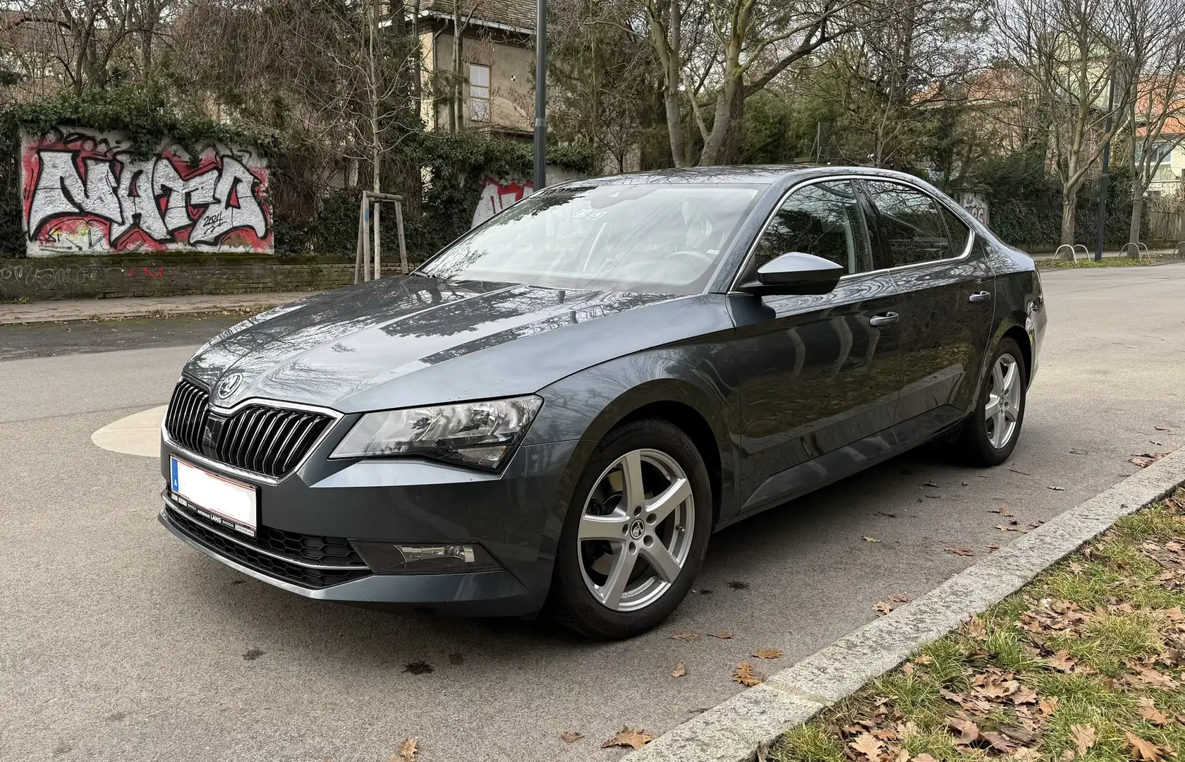 Skoda Superb Superb 2,0 TDI 4x4 DSG Ambition Grau - 2