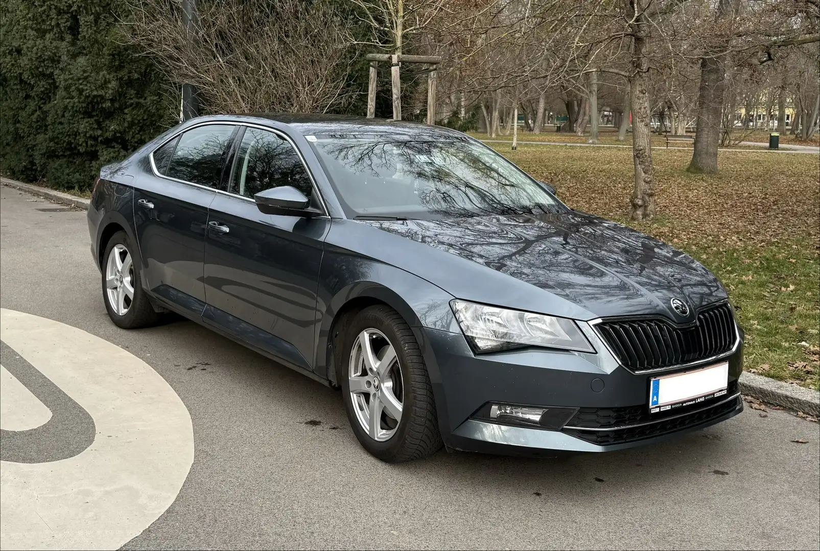 Skoda Superb Superb 2,0 TDI 4x4 DSG Ambition Grau - 1