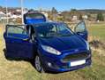 Ford Fiesta Celebration - thumbnail 7